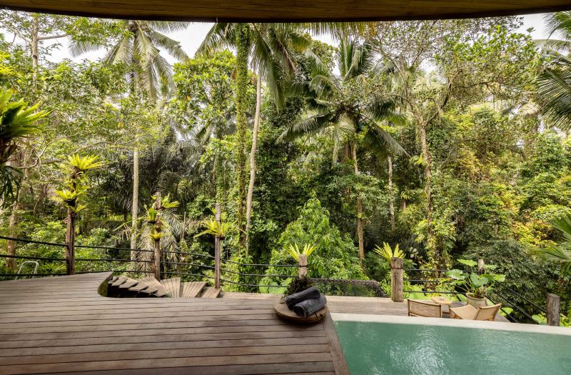 Casa Pohon Ubud photo 4
