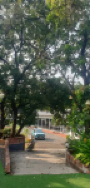 Nature's Cove Resort