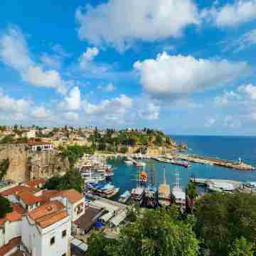 Maxihomes Hadrian Olive Others