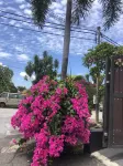 Ipoh Holiday Garden Stay - Bungalow