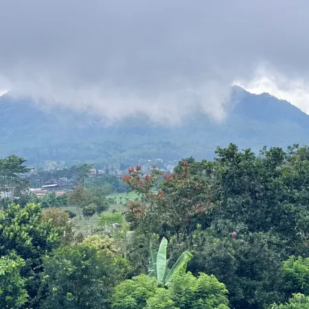 Palawa Nirwana - Elegant Nature 4BR Private Pool