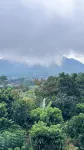 Palawa Nirwana - Elegant Nature 4BR Private Pool - ヴィラ