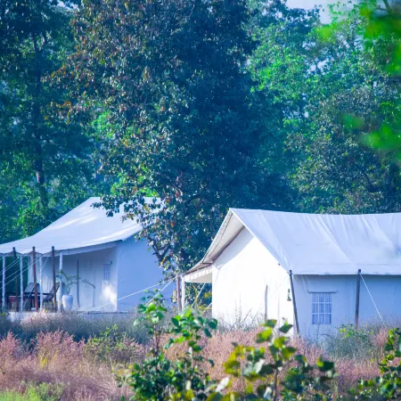 Umaria Safari Camp Kanha