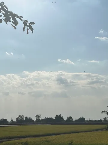 รูปภาพของบ้านต้นแจง