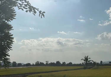 รูปภาพของบ้านต้นแจง