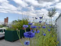 Designed Penthouse Amsterdam City Center - Pensions