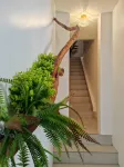 2-Bedroom Suite / Penang hill & Sunshine Central