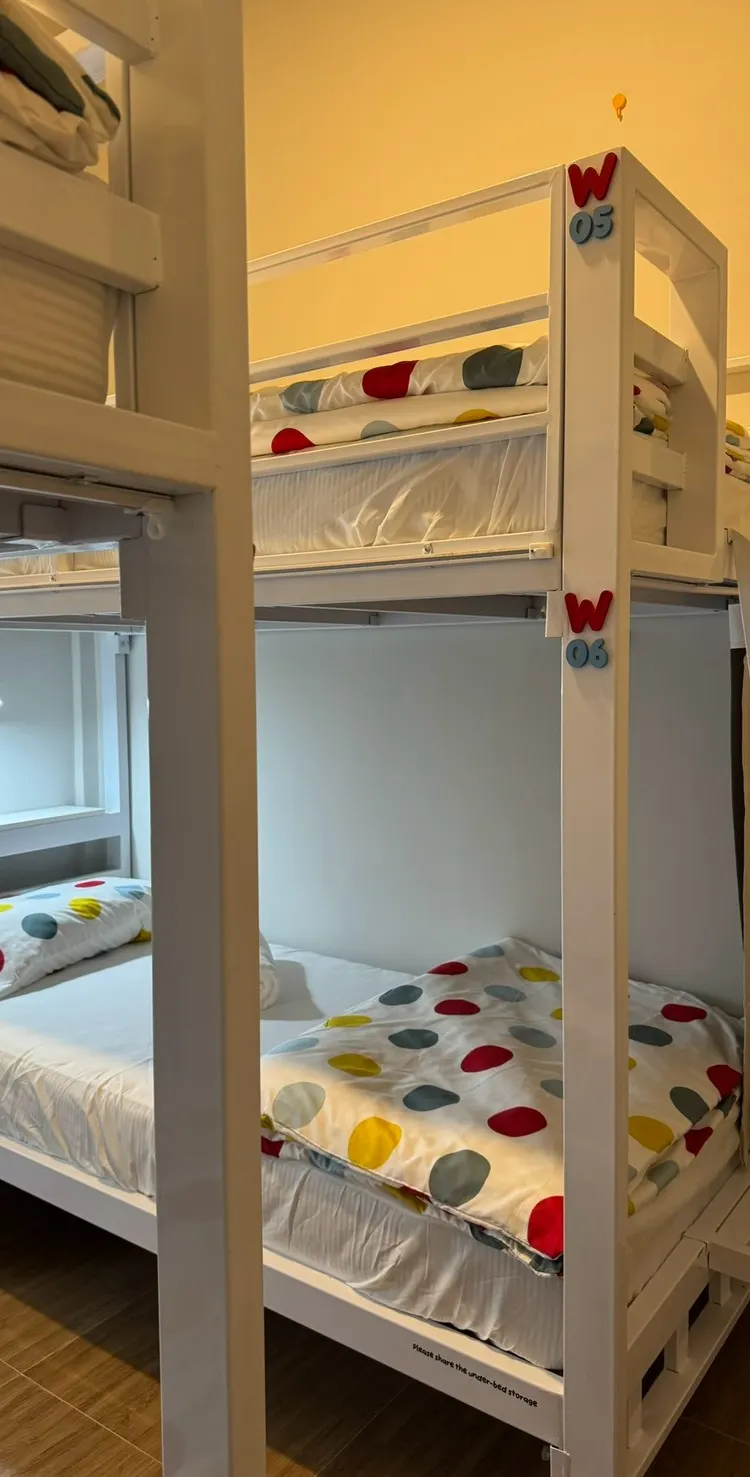 Bed in 4-Bed Bunk Dormitory Room (Mixed Gender)