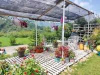 Hotel Chateau De Nazarene Hotels in Tuba