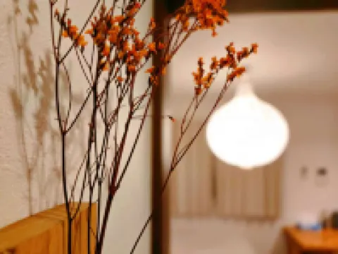 Mossy nest, 7 mins walk to JR station, near Ueno, great for couples honeymoon, girlfriends trip