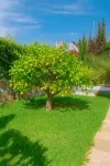 Villa Elite - Vila