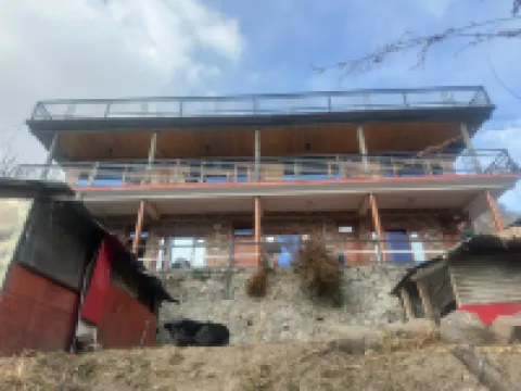 Oh Yaara | Stay n Cafe | Tosh