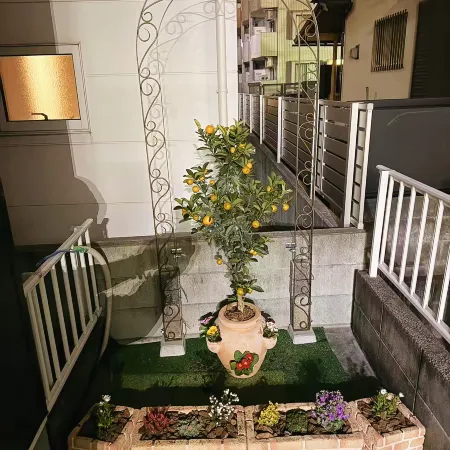 CHERRY HOUSE 168