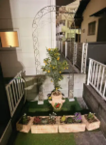 CHERRY HOUSE 168