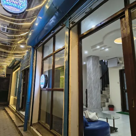 Funky Monkey Hotel Hostel and Apartment with Rooftop Bar