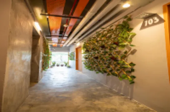 Kenny Hill Boutique Hotel near Borneo Medical Centre Kuching