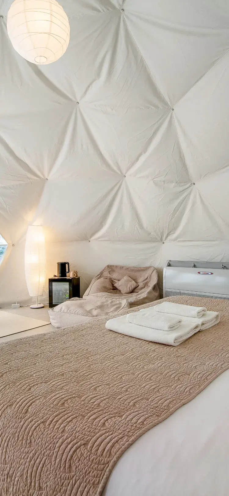 Dome Pet-Friendly