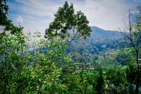Green Senz - Tourist Board Approved Hotel & Hostel - Sigiriya