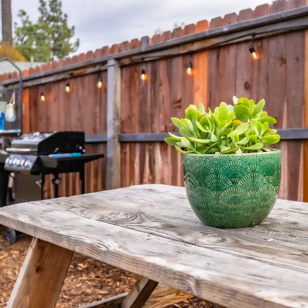 Urban Glamping Oasis: Comfort & Adventure Combined