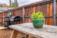 Urban Glamping Oasis: Comfort & Adventure Combined