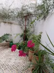 Maison De La Lune Các khách sạn ở Tetouan Province