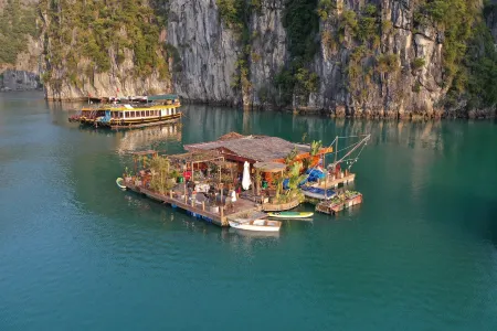 Lan Ha Floating Homestay Отели рядом с достопримечательностью «Cat Co Beach»