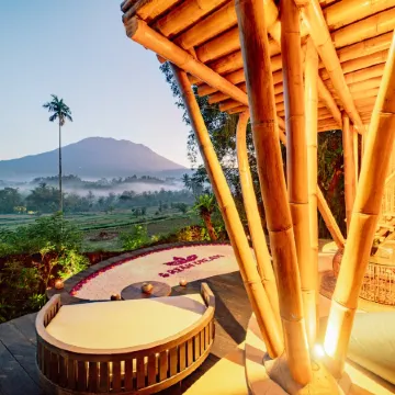 Jiva Bali - Green Dream