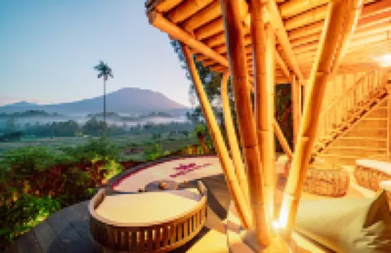 Jiva Bali - Green Dream