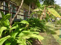 SlowLife Kohlarn