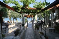 Villa Segetski dvori - Tradition since 1964