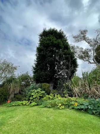 Garden View Entire Self Contained Guesthouse Отели рядом с достопримечательностью «Библиотека Энгадин»