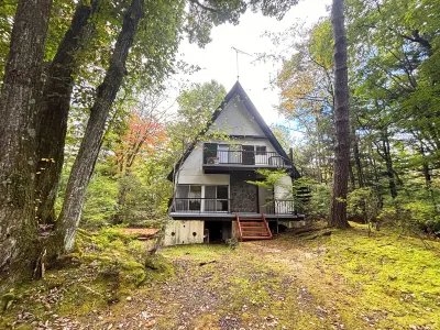 Kawa No Mori Villa Karuizawa - Ghibli-like Enchanted Riverside Moss Garden Forest Retreat Hotels in 