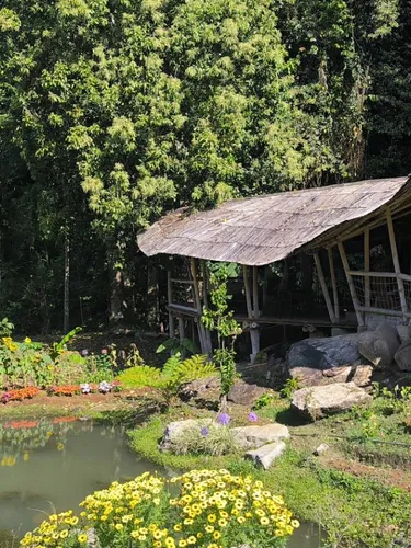 รูปภาพของบ้านไม้ 2