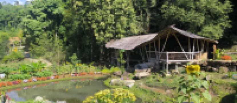 Daelorpu 2