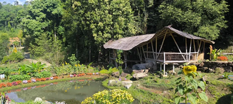 รูปภาพของบ้านไม้ 2