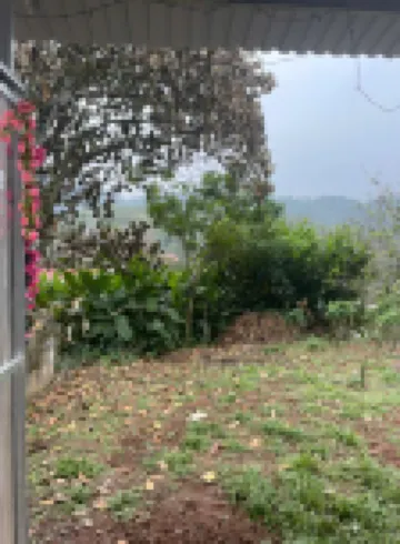 Mien Ecohouse Dinh Lap Hotels in 