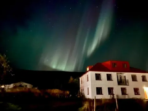 오로라 팜 호텔  호텔