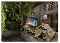 The Foresta By Ohana - bar