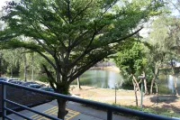 D’Wharf Hotel โรงแรมใน