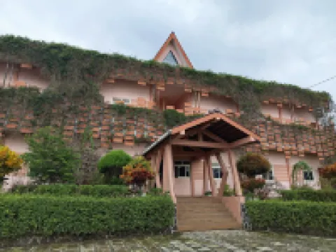 Tulip Guest House & Cafe Hotels in Junrejo