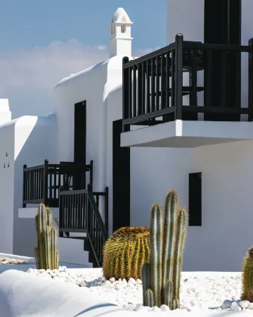 She Mykonos Boutique Hotel Отели в г. Klouvas