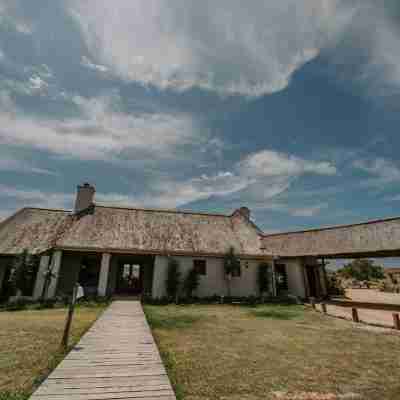 Hlosi Game Lodge - Amakhala Game Reserve Hotel Exterior