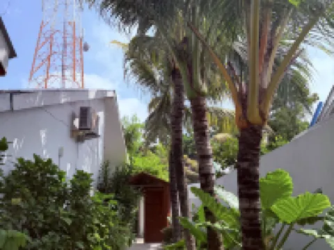 水綠洲中國酒店 圖杜島酒店