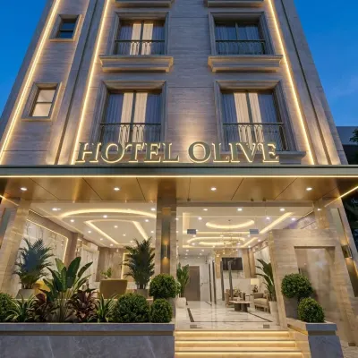 Hotel Olive Aero Suites Near Delhi Airport Отели рядом с достопримечательностью «Университет Джавахарлала Неру»