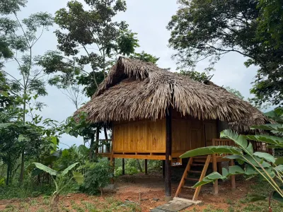 Punano Homestay Hoteles en 