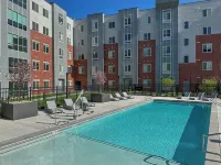 A luxury one bedroom apartment - Gym