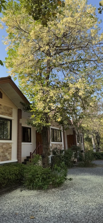 รูปภาพของร่มไม้ปลายตะวันรีสอร์ท