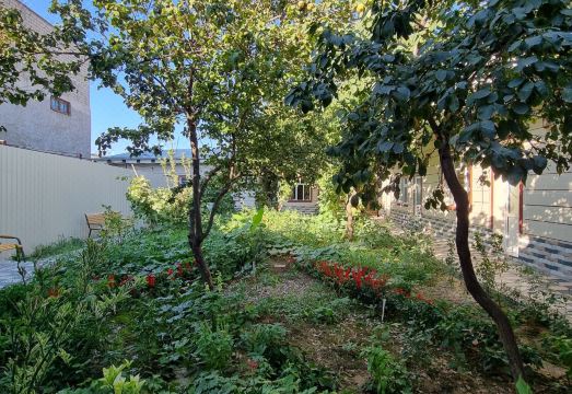 Zamin Hostel and Guest House