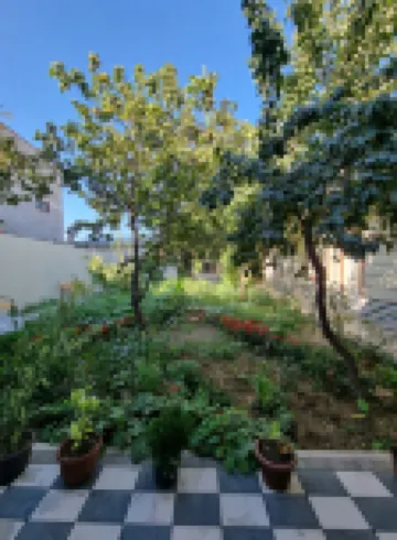 Zamin Hostel and Guest House
