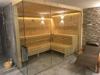 Alpine Penthouse Hollersbach - Homestays